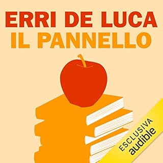 Il pannello copertina