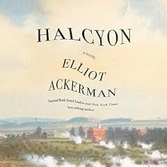 Halcyon Audiolibro Por Elliot Ackerman arte de portada