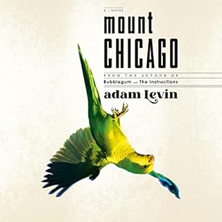 Mount Chicago Audiolibro Por Adam Levin arte de portada