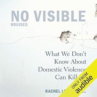 No Visible Bruises Audiobook By Rachel Louise Snyder cover art