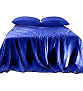 Elegant Comfort Luxurious 4-Piece Silky Satin Sheet Set, Skin and Hair Friendly, Wrinkle, Fade, S...