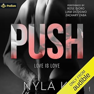 Push Audiobook By Nyla K cover art