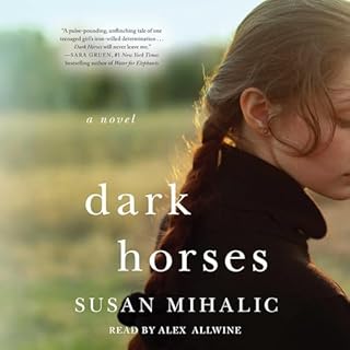 Dark Horses Audiolibro Por Susan Mihalic arte de portada