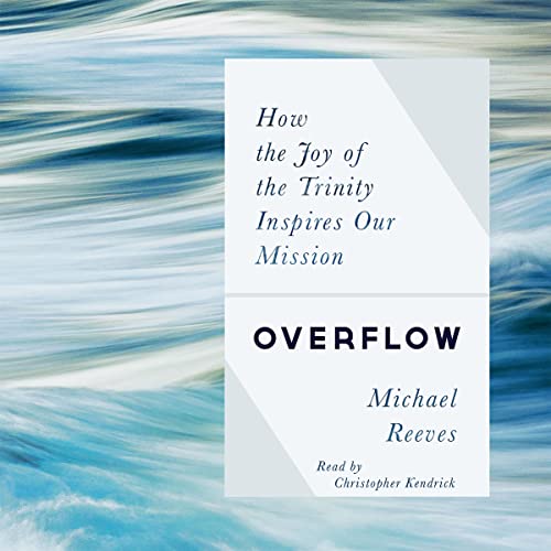 Overflow Audiobook By Michael Reeves cover art