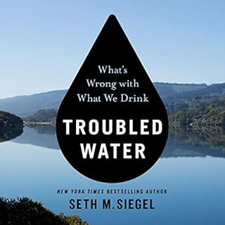 Troubled Water Audiolibro Por Seth M. Siegel arte de portada