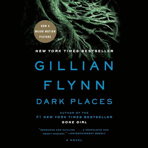 Dark Places Audiolibro Por Gillian Flynn arte de portada