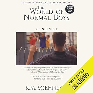 The World of Normal Boys Audiobook By K.M. Soehnlein cover art