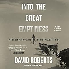 Into the Great Emptiness Audiolibro Por David Roberts arte de portada