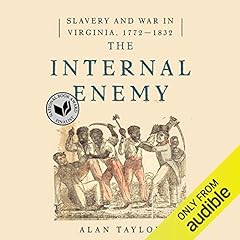The Internal Enemy Audiolibro Por Alan Taylor arte de portada