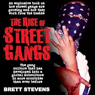 The Rise of Street Gangs Audiolibro Por Brett Stevens arte de portada