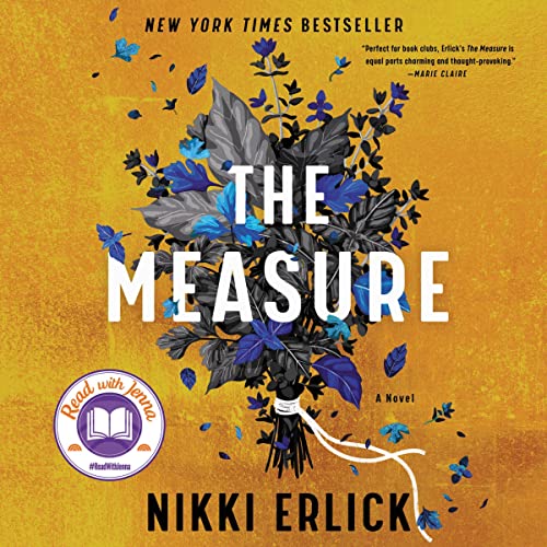 The Measure Audiolibro Por Nikki Erlick arte de portada