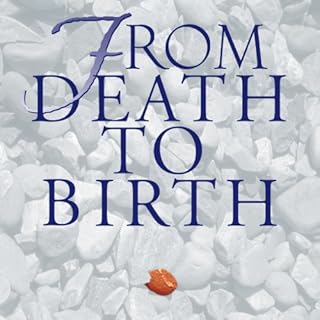 From Death to Birth Audiolibro Por Pandit Rajmani Tigunait Ph.D. arte de portada