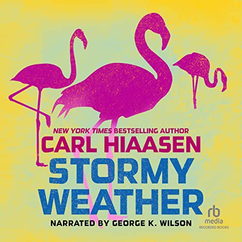 Stormy Weather Audiobook By Carl Hiaasen cover art