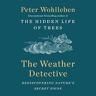 The Weather Detective Audiolibro Por Peter Wohlleben arte de portada