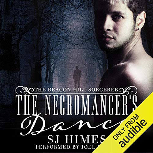 The Necromancer's Dance Audiolibro Por SJ Himes arte de portada