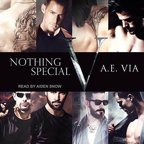 Nothing Special V cover art