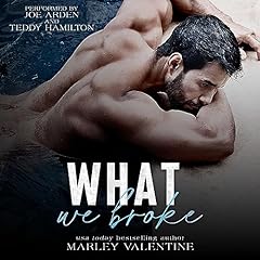 What We Broke Audiolibro Por Marley Valentine arte de portada