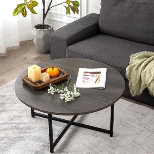 TOYSINTHEBOX Round Coffee Table, Modern Small Coffee Table Sofa Table Tea Table for Living Room, Office Desk, Balcony, Wood Desktop and Metal Legs, 23.6inch Grey