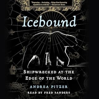 Icebound Audiolibro Por Andrea Pitzer arte de portada