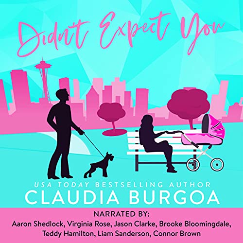 Didn't Expect You Audiolibro Por Claudia Burgoa arte de portada