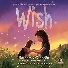 Wish cover art