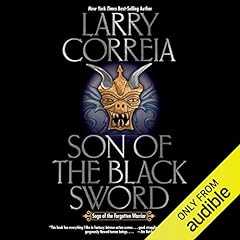 Son of the Black Sword Audiolibro Por Larry Correia arte de portada