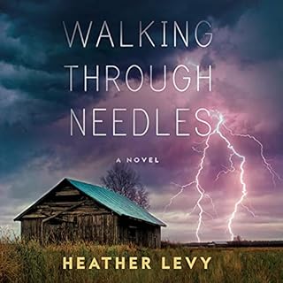 Walking Through Needles Audiobook By Heather Levy cover art