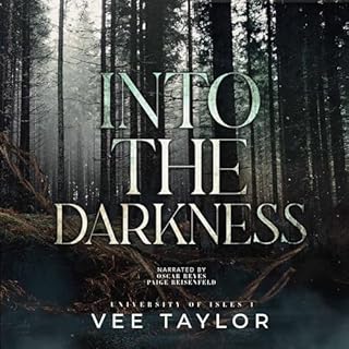 Into the Darkness Audiolibro Por Vee Taylor arte de portada