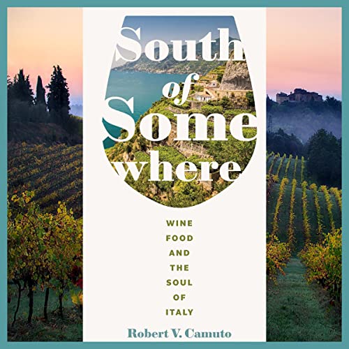 South of Somewhere Audiobook By Robert V. Camuto cover art