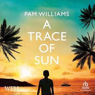 A Trace of Sun cover art