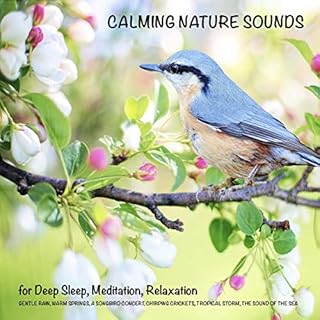 Calming Nature Sounds (without music) for Deep Sleep, Meditation, Relaxation Audiolibro Por Yella A. Deeken arte de portada