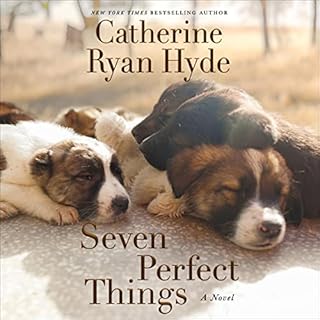Seven Perfect Things Audiolibro Por Catherine Ryan Hyde arte de portada