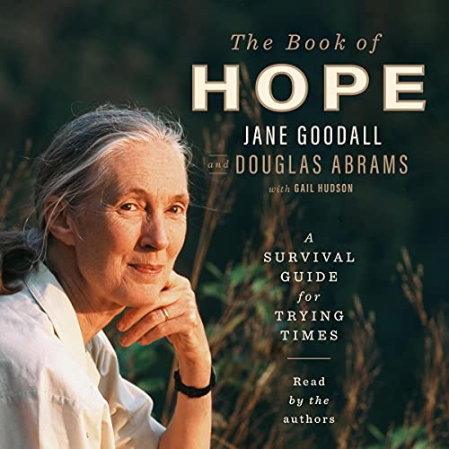 The Book of Hope cover art