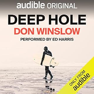 Deep Hole Audiobook By Don Winslow cover art