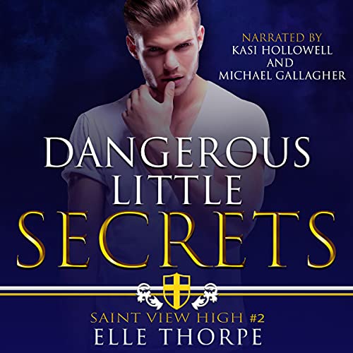 Dangerous Little Secrets Audiolibro Por Elle Thorpe arte de portada