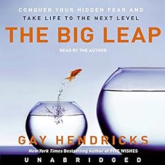 The Big Leap cover art