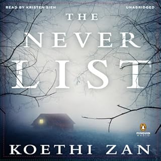 The Never List Audiolibro Por Koethi Zan arte de portada