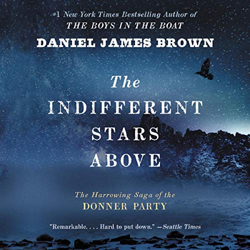 Couverture de The Indifferent Stars Above