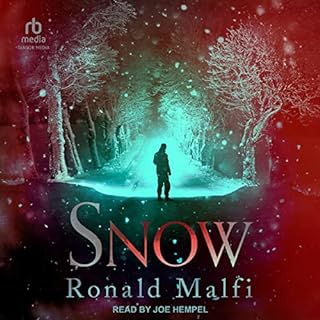 Snow Audiolibro Por Ronald Malfi arte de portada