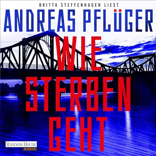 Wie Sterben geht Audiolibro Por Andreas Pfl&uuml;ger arte de portada