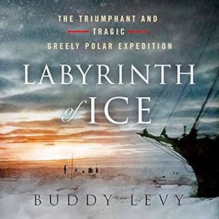 Labyrinth of Ice Audiolibro Por Buddy Levy arte de portada