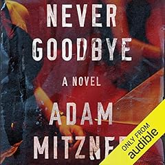 Never Goodbye Audiolibro Por Adam Mitzner arte de portada