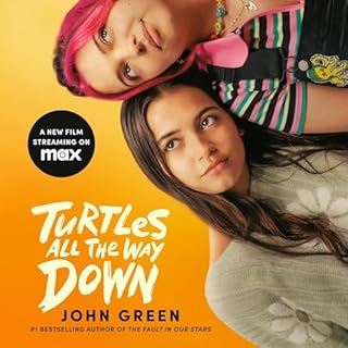 Turtles All the Way Down cover art