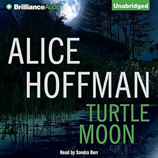 Turtle Moon Audiolibro Por Alice Hoffman arte de portada