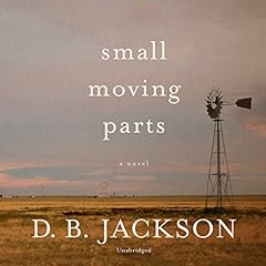 Small Moving Parts Audiolibro Por D. B. Jackson arte de portada