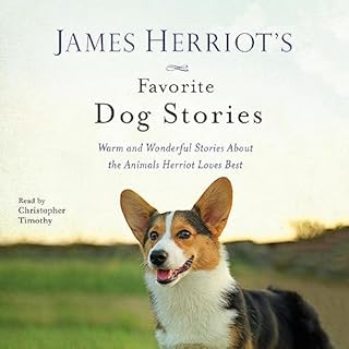 James Herriot's Favorite Dog Stories Audiolibro Por James Herriot arte de portada