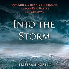 Into the Storm cover art