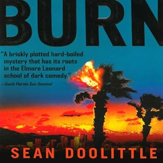 Burn Audiolibro Por Sean Doolittle arte de portada