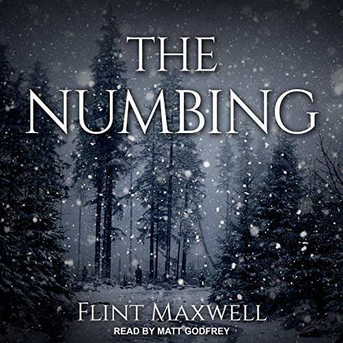 The Numbing Audiobook By Flint Maxwell cover art