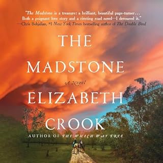 The Madstone Audiolibro Por Elizabeth Crook arte de portada